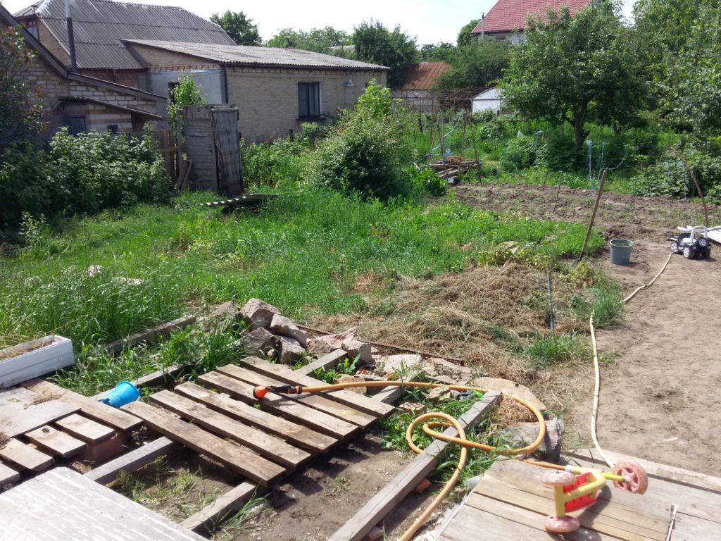 Messy backyard with weed