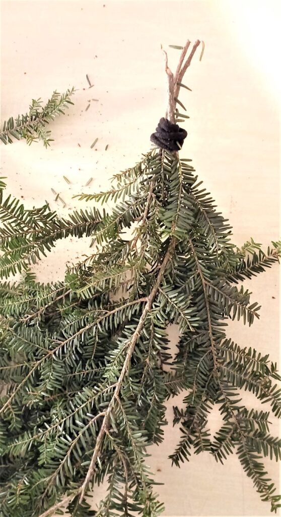 Bunch of fir branches