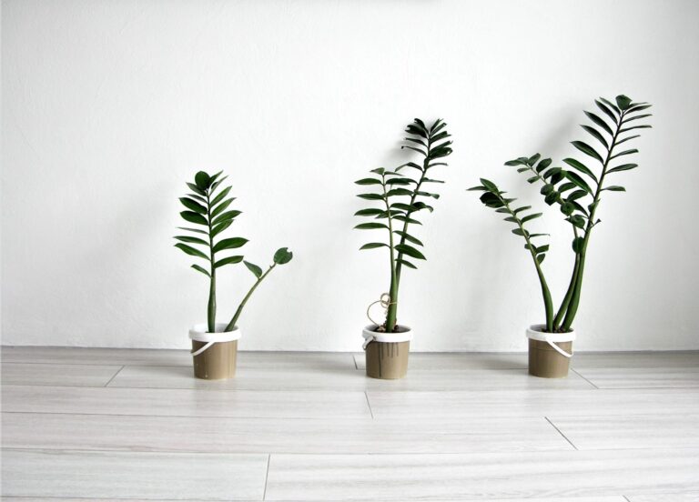 Walls with no baseboards