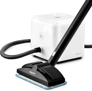 Dupray Steam Cleaner