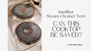 Read more about the article How to Clean a Hot Plate (Electric Burner) with a Steam Cleaner